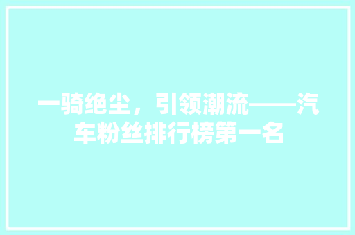 一骑绝尘，引领潮流——汽车粉丝排行榜第一名