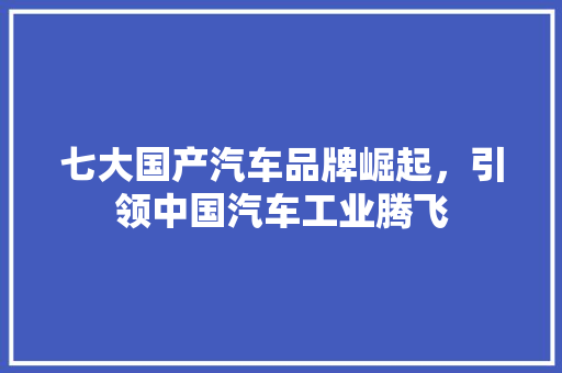 七大国产汽车品牌崛起，引领中国汽车工业腾飞  第1张