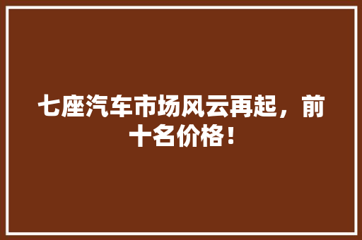 七座汽车市场风云再起，前十名价格！
