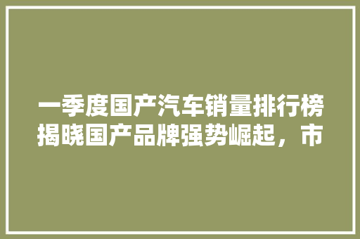 一季度国产汽车销量排行榜揭晓国产品牌强势崛起，市场格局重塑  第1张