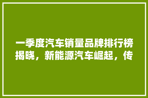 一季度汽车销量品牌排行榜揭晓，新能源汽车崛起，传统车企面临挑战  第1张