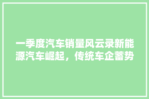 一季度汽车销量风云录新能源汽车崛起，传统车企蓄势待发  第1张