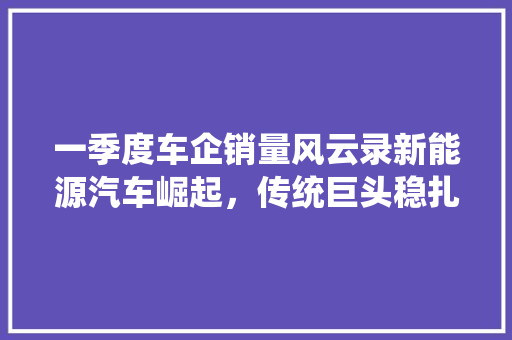 一季度车企销量风云录新能源汽车崛起，传统巨头稳扎稳打  第1张