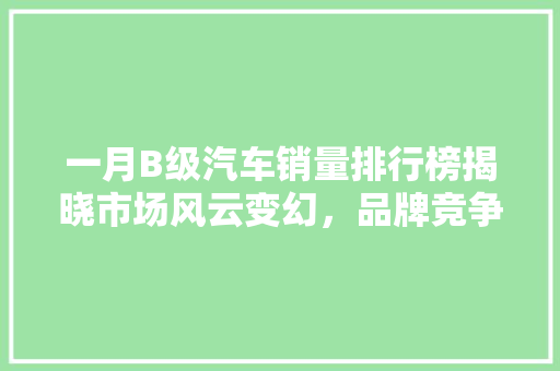 一月B级汽车销量排行榜揭晓市场风云变幻，品牌竞争激烈  第1张