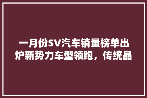 一月份SV汽车销量榜单出炉新势力车型领跑，传统品牌如何应对  第1张