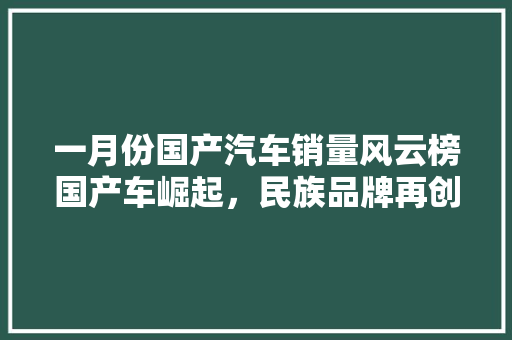 一月份国产汽车销量风云榜国产车崛起，民族品牌再创新高  第1张
