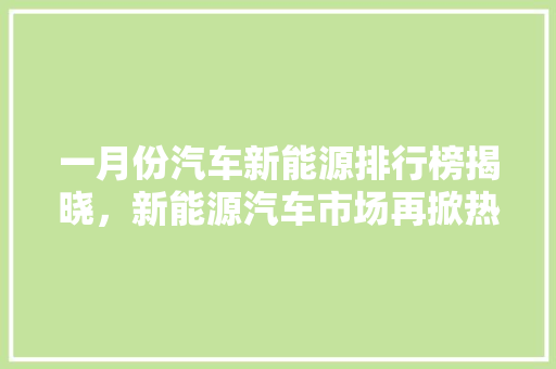 一月份汽车新能源排行榜揭晓，新能源汽车市场再掀热潮  第1张