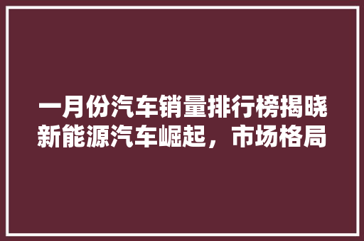 一月份汽车销量排行榜揭晓新能源汽车崛起，市场格局再洗牌  第1张