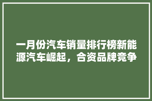 一月份汽车销量排行榜新能源汽车崛起，合资品牌竞争加剧