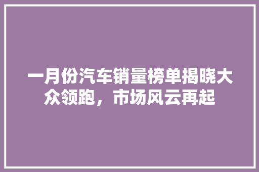 一月份汽车销量榜单揭晓大众领跑，市场风云再起  第1张