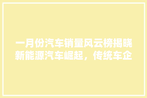 一月份汽车销量风云榜揭晓新能源汽车崛起，传统车企面临挑战  第1张