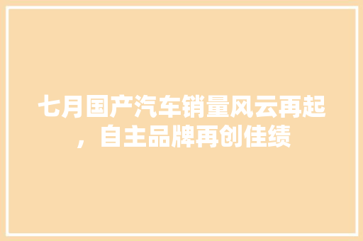 七月国产汽车销量风云再起，自主品牌再创佳绩  第1张