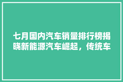 七月国内汽车销量排行榜揭晓新能源汽车崛起，传统车企蓄势待发  第1张