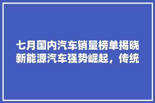 七月国内汽车销量榜单揭晓新能源汽车强势崛起，传统车企面临挑战  第1张