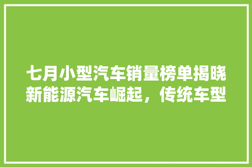 七月小型汽车销量榜单揭晓新能源汽车崛起，传统车型依旧强劲