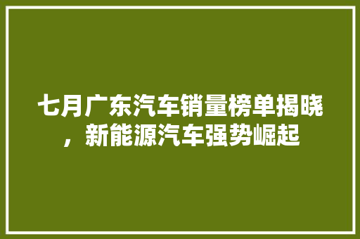 七月广东汽车销量榜单揭晓，新能源汽车强势崛起  第1张
