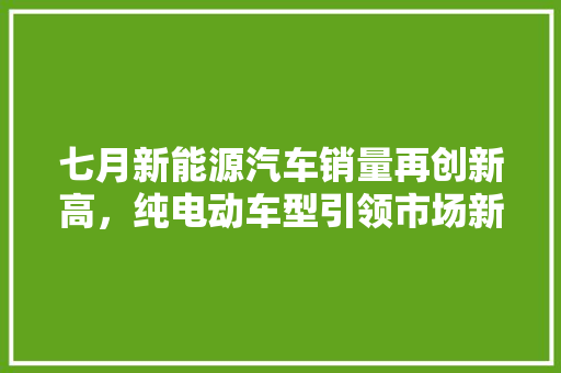 七月新能源汽车销量再创新高，纯电动车型引领市场新潮流  第1张
