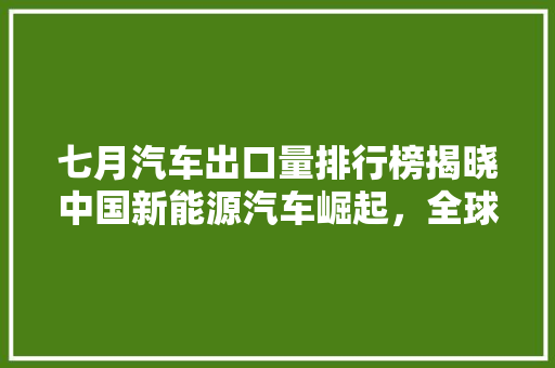 七月汽车出口量排行榜揭晓中国新能源汽车崛起，全球市场格局再塑  第1张