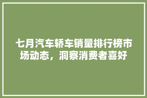 七月汽车轿车销量排行榜市场动态，洞察消费者喜好