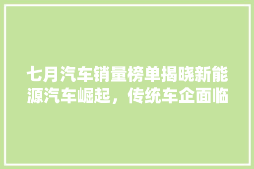 七月汽车销量榜单揭晓新能源汽车崛起，传统车企面临挑战  第1张