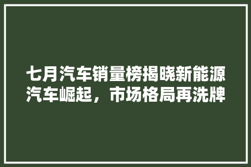七月汽车销量榜揭晓新能源汽车崛起，市场格局再洗牌
