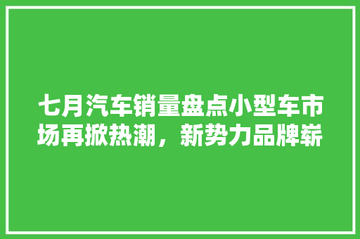 七月汽车销量盘点小型车市场再掀热潮，新势力品牌崭露头角