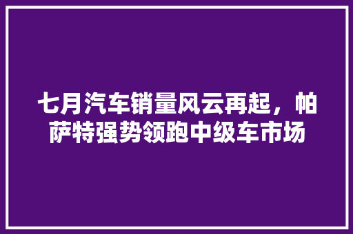 七月汽车销量风云再起，帕萨特强势领跑中级车市场
