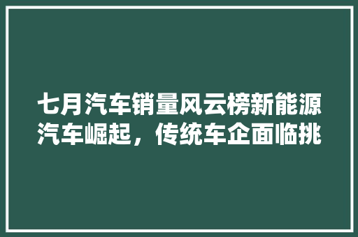 七月汽车销量风云榜新能源汽车崛起，传统车企面临挑战