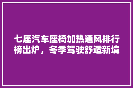 七座汽车座椅加热通风排行榜出炉，冬季驾驶舒适新境界