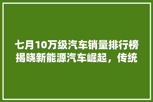 七月10万级汽车销量排行榜揭晓新能源汽车崛起，传统车企转型加速  第1张