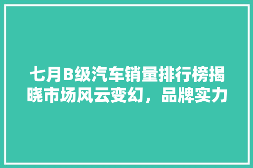 七月B级汽车销量排行榜揭晓市场风云变幻，品牌实力角逐  第1张