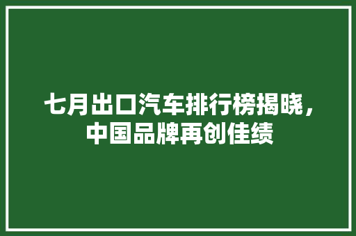 七月出口汽车排行榜揭晓，中国品牌再创佳绩  第1张
