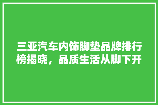 三亚汽车内饰脚垫品牌排行榜揭晓，品质生活从脚下开始