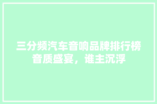 三分频汽车音响品牌排行榜音质盛宴，谁主沉浮
