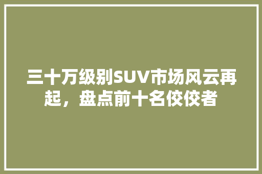 三十万级别SUV市场风云再起，盘点前十名佼佼者