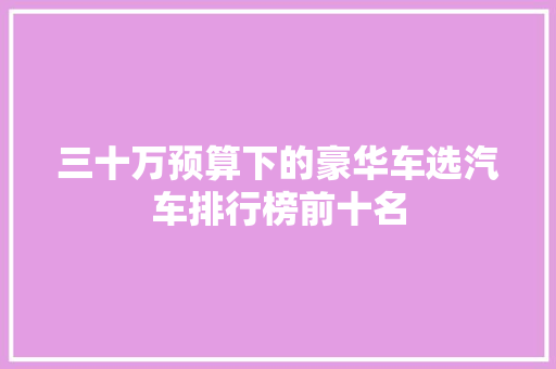 三十万预算下的豪华车选汽车排行榜前十名