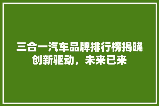 三合一汽车品牌排行榜揭晓创新驱动，未来已来