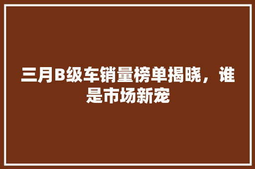 三月B级车销量榜单揭晓，谁是市场新宠
