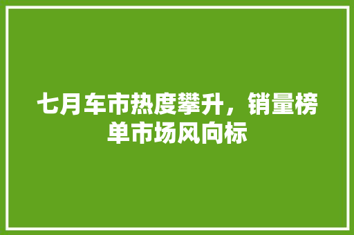 七月车市热度攀升，销量榜单市场风向标