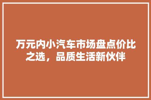 万元内小汽车市场盘点价比之选，品质生活新伙伴
