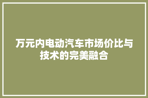 万元内电动汽车市场价比与技术的完美融合  第1张