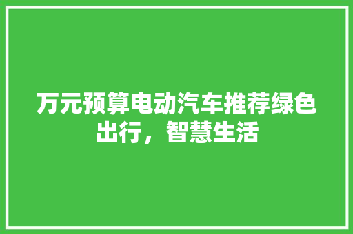 万元预算电动汽车推荐绿色出行，智慧生活