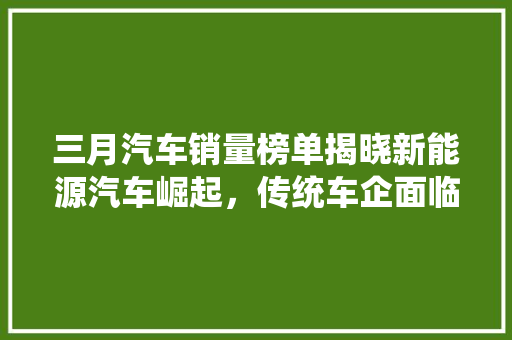 三月汽车销量榜单揭晓新能源汽车崛起，传统车企面临挑战