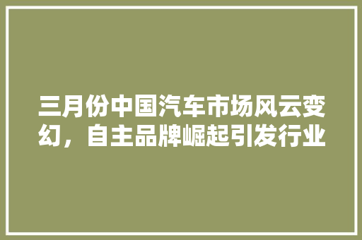 三月份中国汽车市场风云变幻，自主品牌崛起引发行业关注  第1张