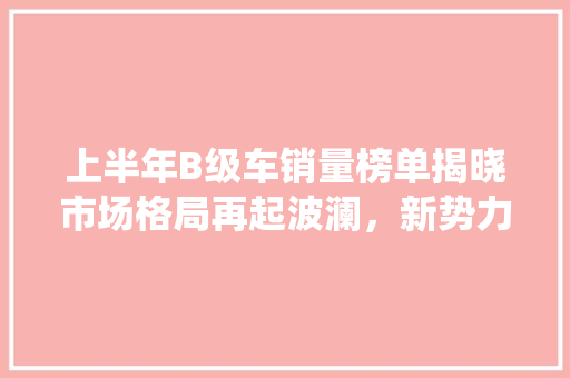 上半年B级车销量榜单揭晓市场格局再起波澜，新势力崛起挑战传统豪强