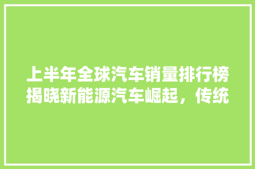 上半年全球汽车销量排行榜揭晓新能源汽车崛起，传统车企面临挑战