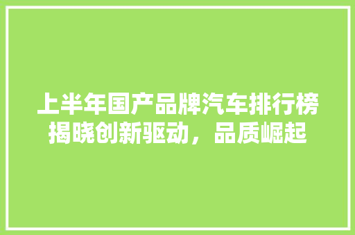 上半年国产品牌汽车排行榜揭晓创新驱动，品质崛起