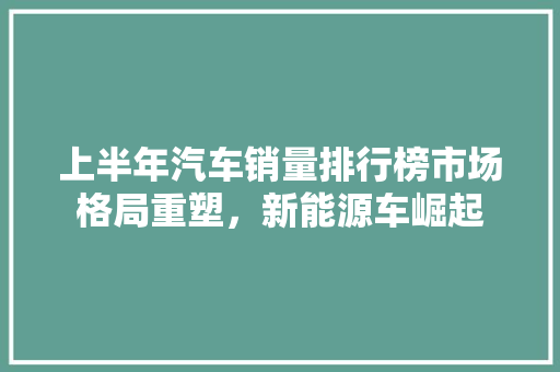上半年汽车销量排行榜市场格局重塑，新能源车崛起