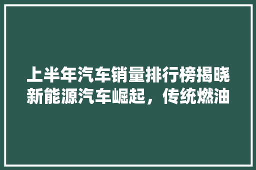 上半年汽车销量排行榜揭晓新能源汽车崛起，传统燃油车面临挑战