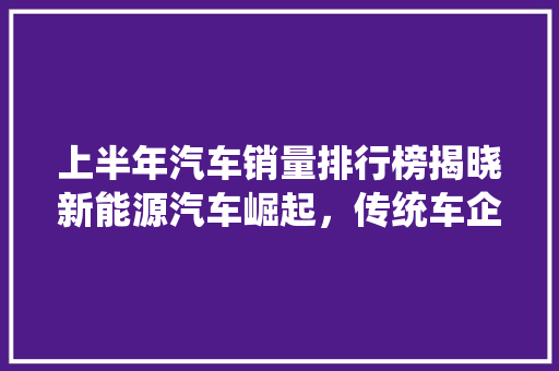 上半年汽车销量排行榜揭晓新能源汽车崛起，传统车企转型加速